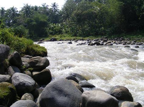 Pemandangan indah di Sungai Batang Arau, Lubuk Begalung